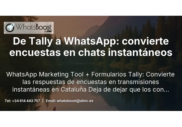 De Tally a WhatsApp: convierte encuestas en chats instantáneos